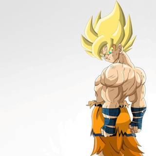 Dragon Ball Z iPhone 11 wallpaper