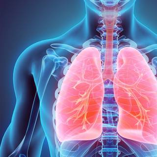 Respiratory wallpaper