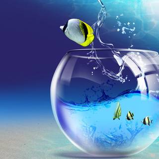 Good looking wallpaper