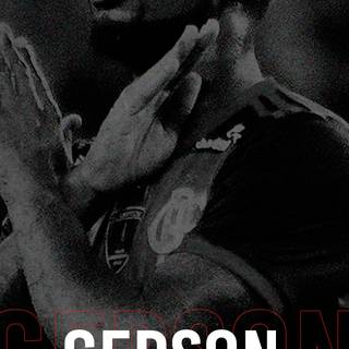 Gerson wallpaper