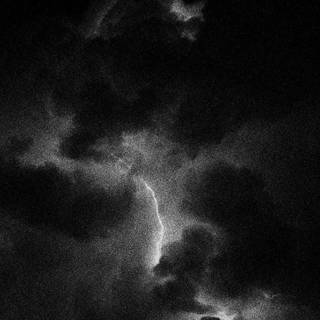 Dark paradise wallpaper