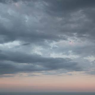 Dark paradise wallpaper