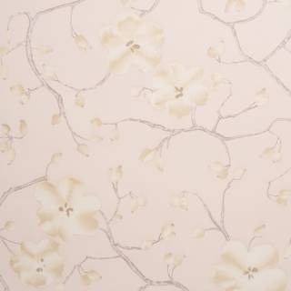 Beige spring wallpaper