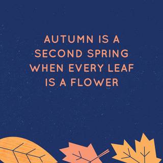 November cute wallpaper