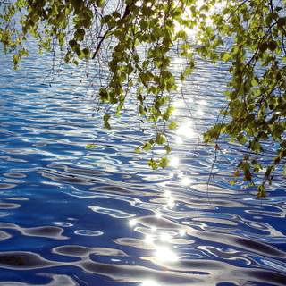 Water reflections wallpaper