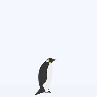 Minimalistic vertical penguin wallpaper