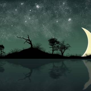 HD desktop digital night art wallpaper
