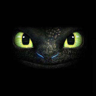 Dragon iPhone 11 wallpaper