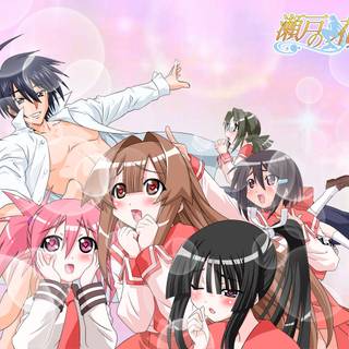 Seto no Hanayome wallpaper