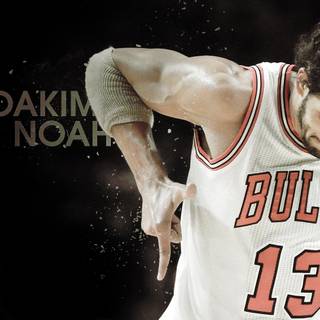 Joakim Noah wallpaper