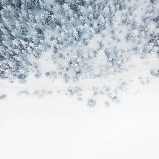 Winter slush wallpaper