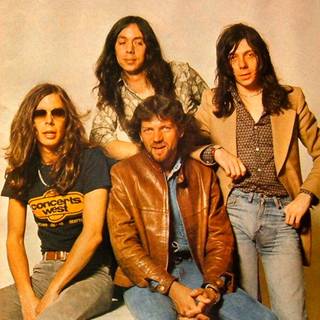 Camel band wallpaper