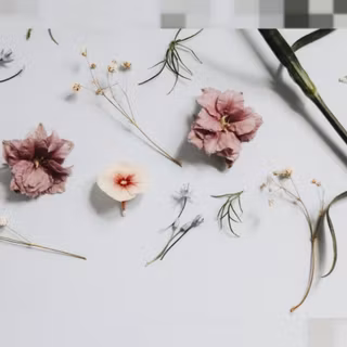Aesthetic spring Macbook wallpaper