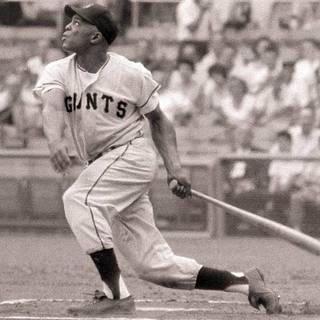 Willie Mays wallpaper