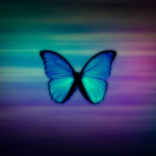 Girly laptop wallpaper