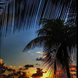 Hawi sunset wallpaper