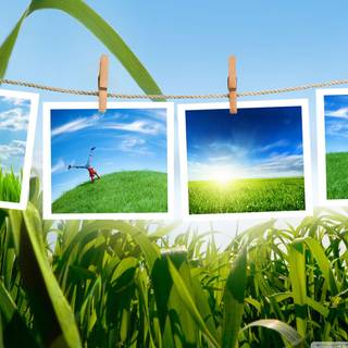 Green collage computer wallpaper