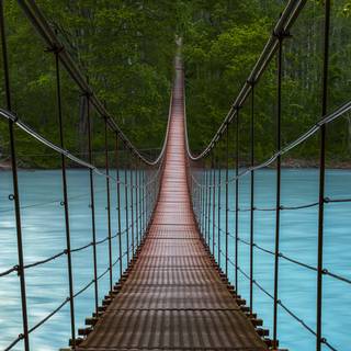 Forest bridge wallpaper