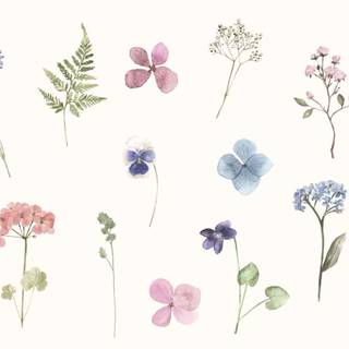 Simple spring aesthetic wallpaper