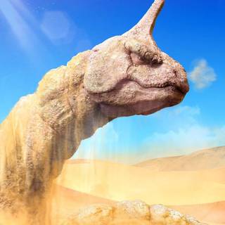 Pokémon real life wallpaper