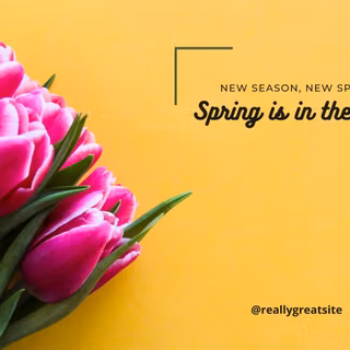 Spring desktop minimal wallpaper