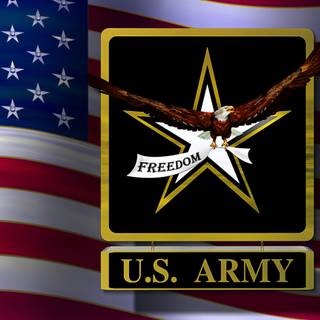 Army USA wallpaper