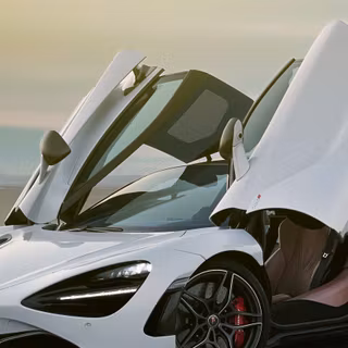 Butterfly doors wallpaper