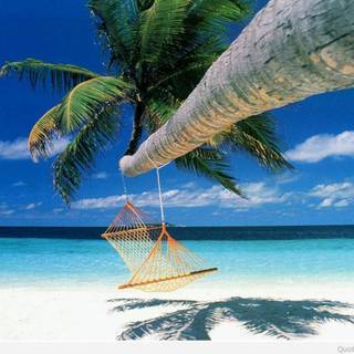 Summer 2022 wallpaper