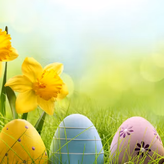 Spring horizontal wallpaper