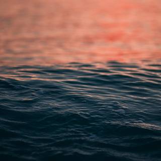 Water ripple wallpaper