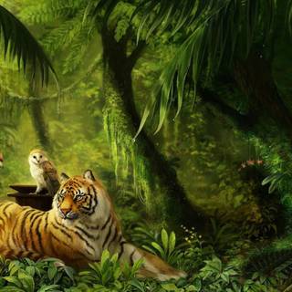 Rain forest animals wallpaper