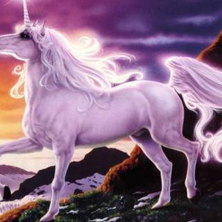 Magical unicorn wallpaper