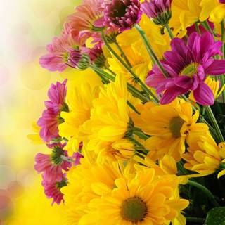 Bright yellow flower wallpaper