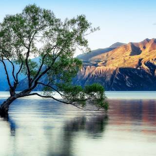 Beautiful reflection wallpaper