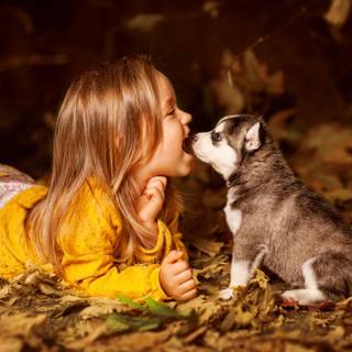 Puppy dog and girl wallpaper