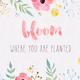 Spring HD cute desktop wallpaper