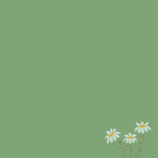 Cute spring sage green wallpaper