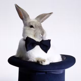 Boring bunny wallpaper