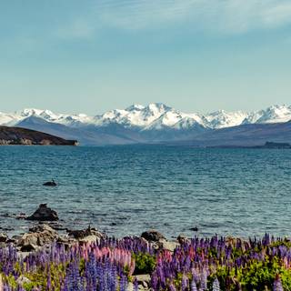 Lake Tekapo New Zealand wallpaper