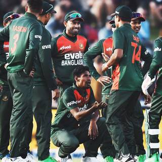 Mushfiqur Rahim wallpaper