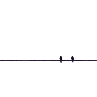 Two birds on wire wallpaper
