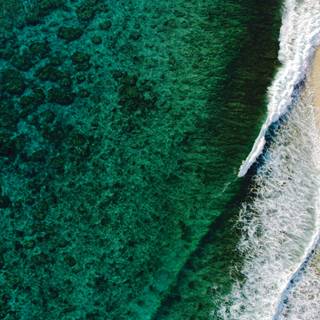 Jade green wallpaper