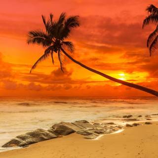 Retro winter sunset wallpaper