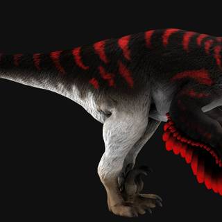 Utahraptor wallpaper