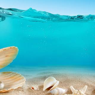 Inside sea wallpaper