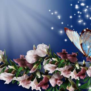 PC spring HD wallpaper