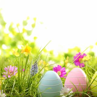 Easter eggs aesthetic wallpaper