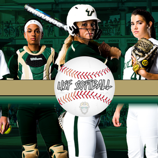 Softball players wallpaper