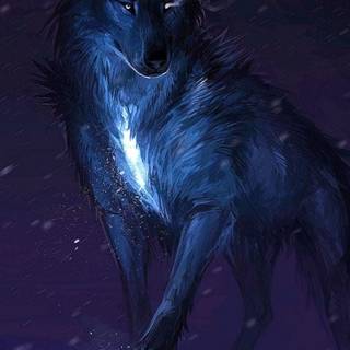 Wolf iPhone 12 Pro Max wallpaper