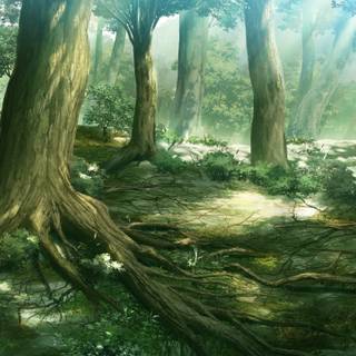 Aesthetic anime rain forest wallpaper